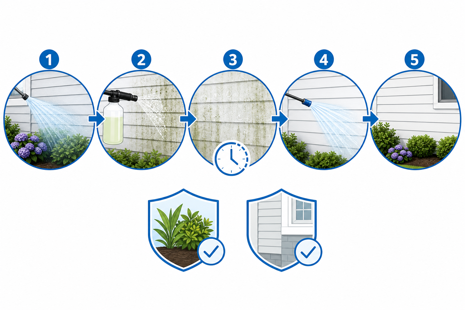 Diagram of the soft wash process and surface safety steps